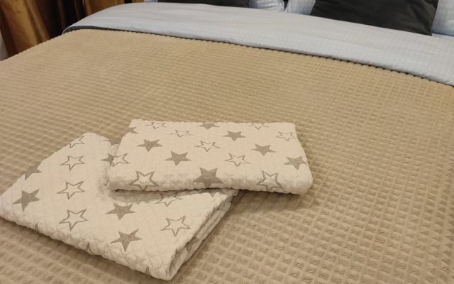 U Ledovogo Dvortsa Apartaments