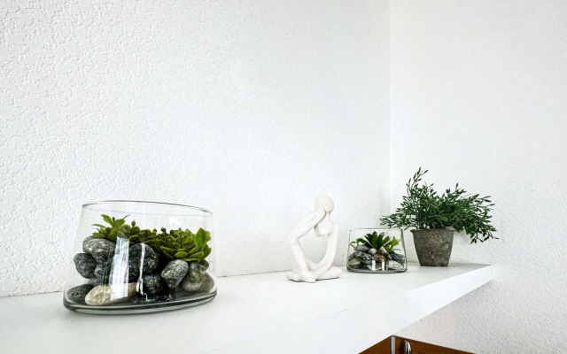 Квартира Большая студия для 4х гостей в Гости