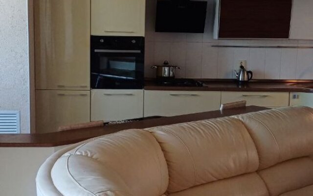 Rich House Na Ulitse Novosyolov 8 Apartments