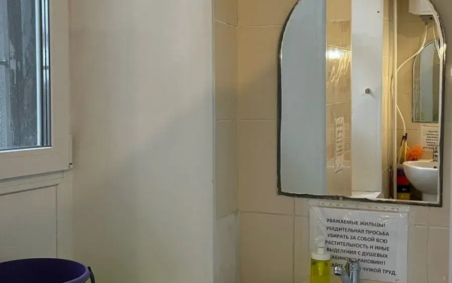 Mir Na Baumanskoy Hostel