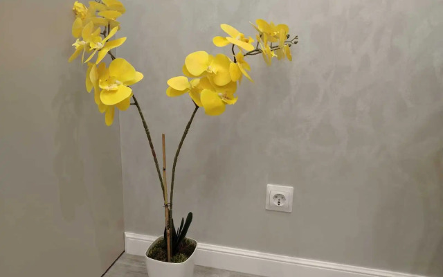 Квартира Студия на Улице Тележная 29