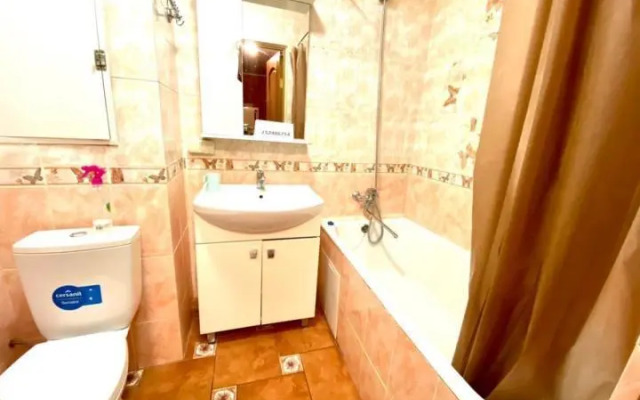 Апартаменты Pant Family House