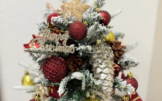 Квартира Студия Река в ЖК Сердце Ярославля с Алисой