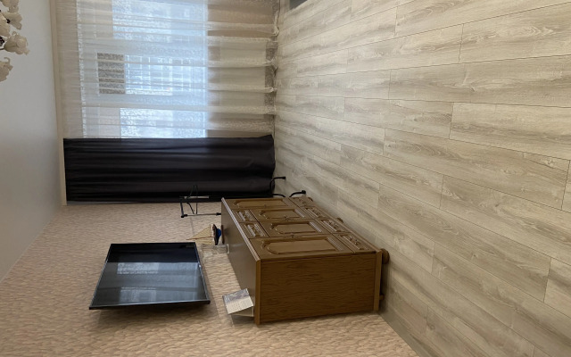 Zelenonogradsk Flat