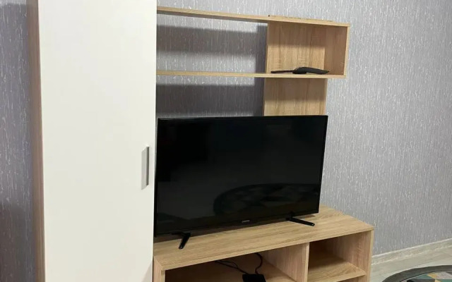 Квартира Просторная в центре Ишима