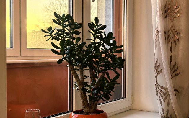 Квартира Рядом с площадью