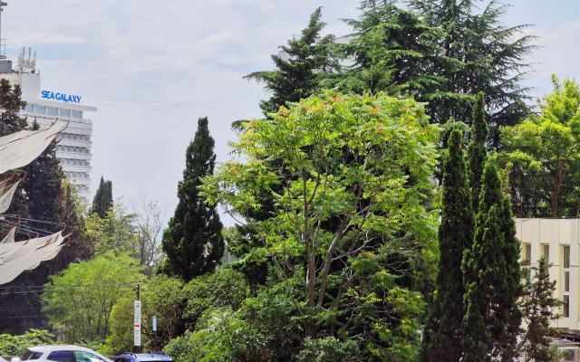 Апартаменты M-Apartments, El Mandarine 23