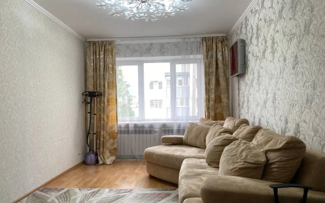 Uyutnaya Dvushka na Lenina-Purkaeva Flat