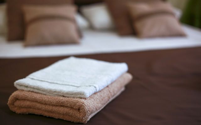 Aloiza Guest House
