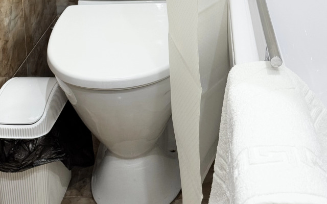 Квартира Уютная трехместная студия в центре Владикавказа