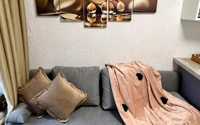 Апартаменты N3 на Петроградке