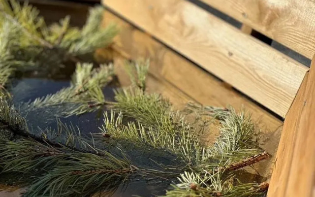 Частный Дом Сила Поля