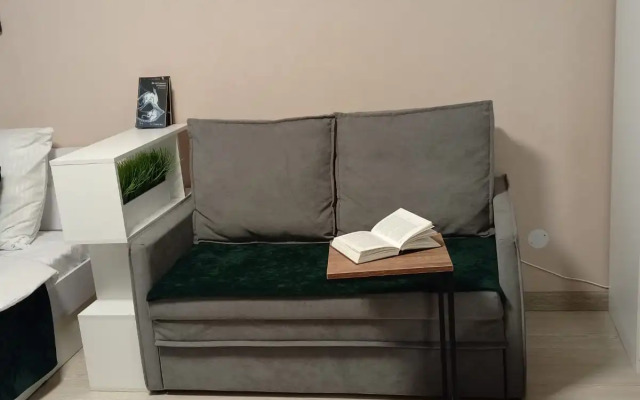 Квартира Уютная студия