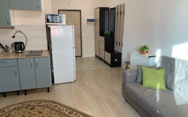 Апартаменты на Академика Северина