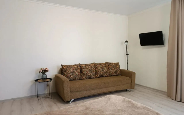 Апартаменты двухкомнатные на Дуки 71, Оливковая