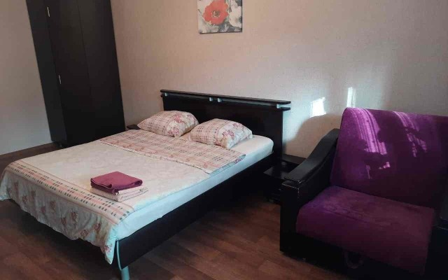 Уютная квартира на Московском проспекте 100