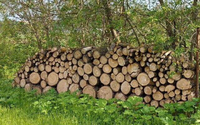 Мини-отель эко-отель Ёлки-палки