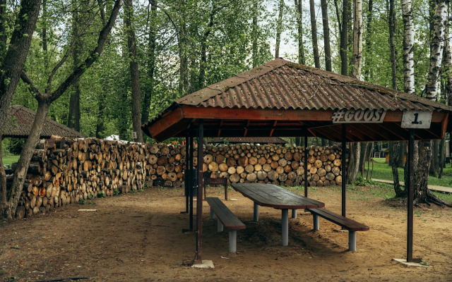 Banniy Kurort Gusi-Lebedi Mini-Hotel