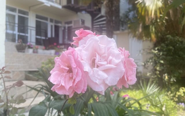 Granat V Loo Guest house