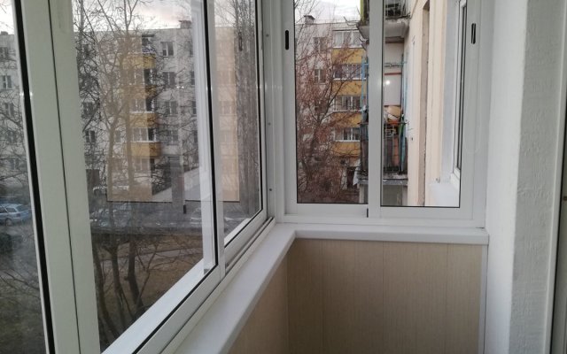 Dvukhkomnatnye V Samom Tsentre Vitebska Apartments