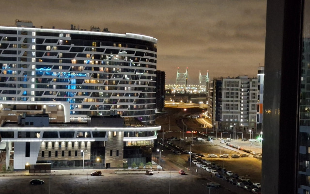 Квартира студия с видом на мост