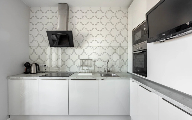 Apartamenty Skylight U Moskovskikh Vorot (2)