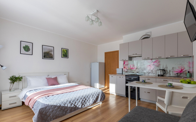 Квартира Живи в Песочном Студия Садовая 88