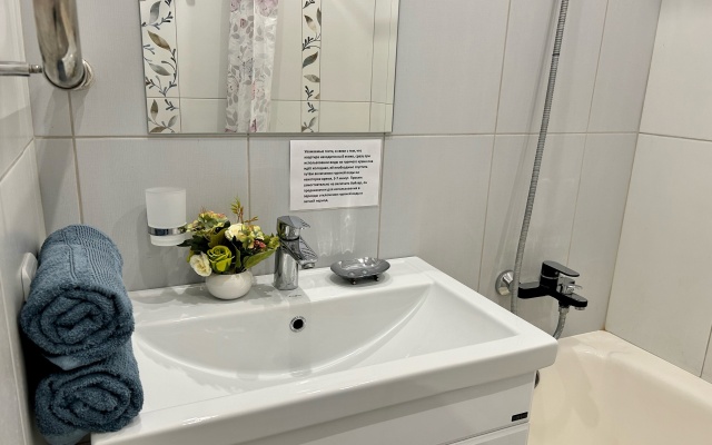 Апартаменты Тенишевой 31