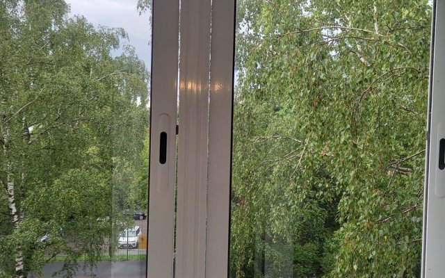 Na ulice Myasischeva 4 Apartments
