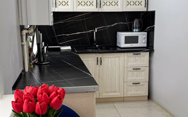 Na Prospekte Kirova 53 Apartments