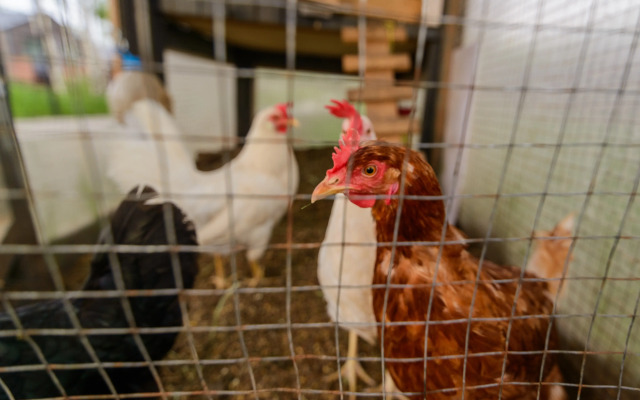 Частный Дом Simple Life Home 390