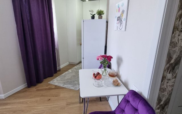 Uyutny Dom 210 Apartments