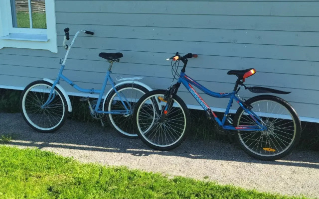 Частный дом в Снетково у озера