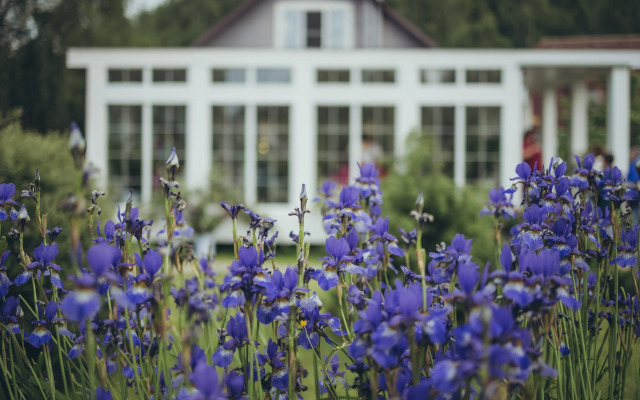 Гостевой дом Галерея
