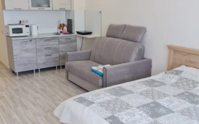 Green 9 Staronasypnaya,1, etazh 5, Kv.50 Flat