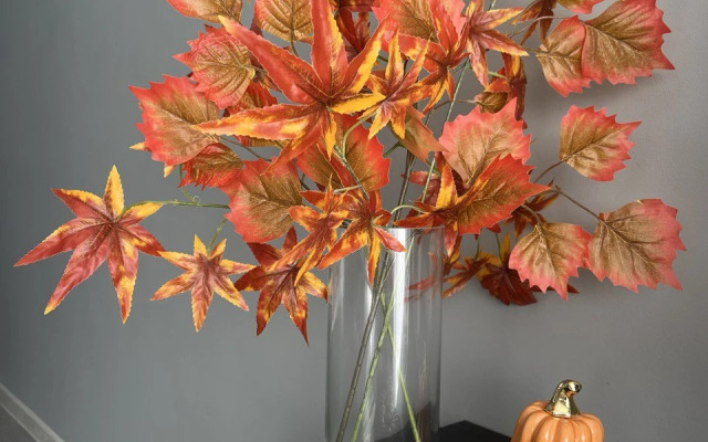 Апартаменты Bloom Apartment в центре города