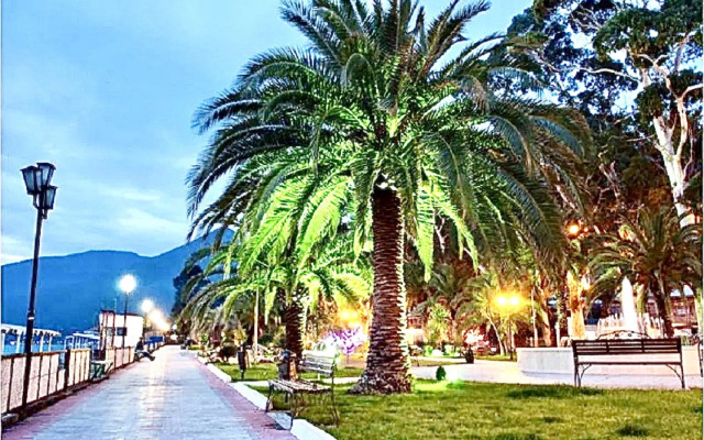 V Tsentre Goroda Flat