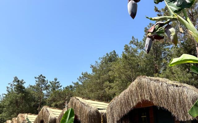 Pine Village Bungalows Ölüdeniz Private house