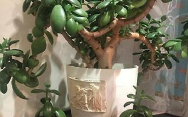 Апартаменты Вдохновение