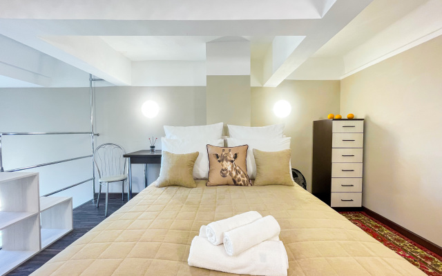 Sovremennyye uyutnyye dvukhurovnevyye 226 Apartments