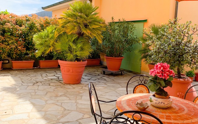 Cuore di NOZZANO Castello Apartments