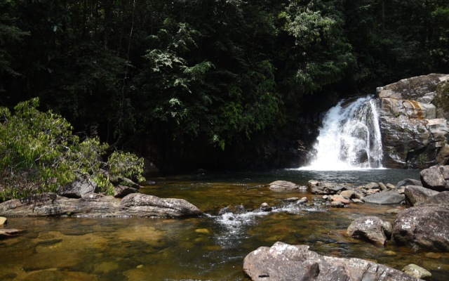 Sinharaja Eco Villa