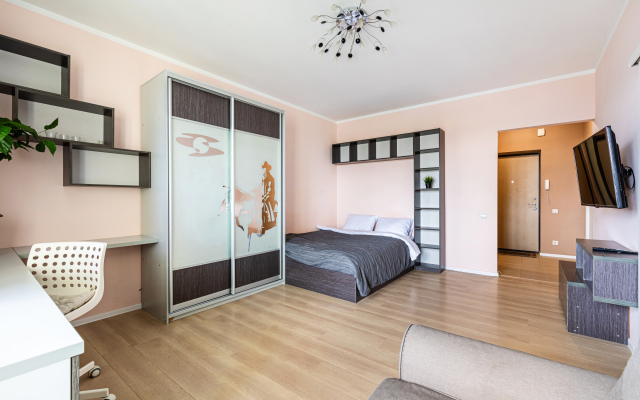 V centre goroda Kazan Flat