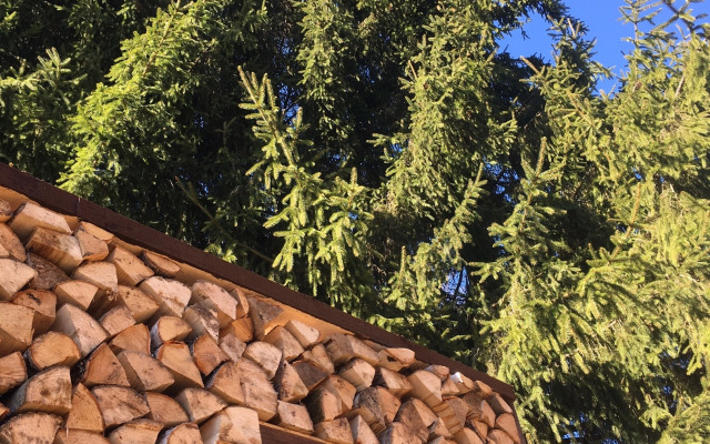 Гостевой дом Елки-палки