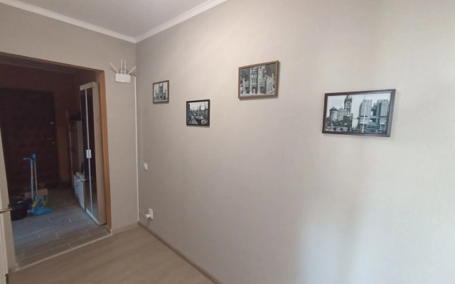 Tryohkomnatnaya Komfortnaya na Voejkova Flat