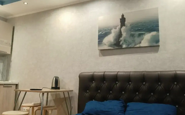 Квартира Студия курыжова 32