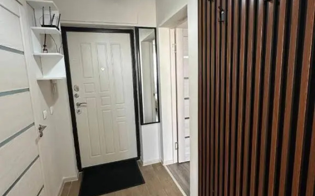 Svetlaya s Balkonom Flat