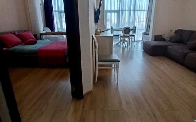 Prostornye Apartamenty V Tsentre Sochi Naprotiv Tsirka Flat