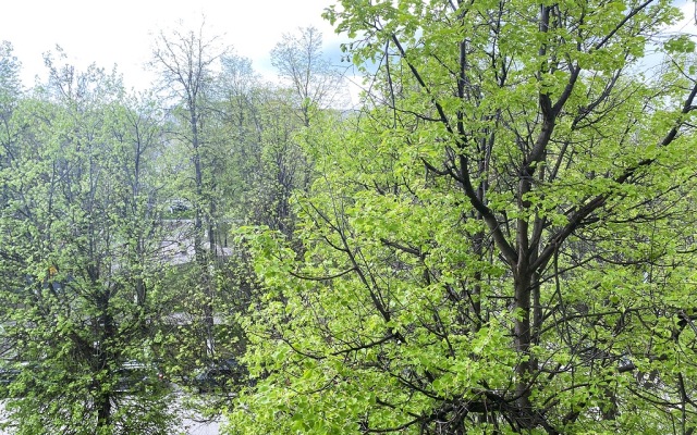 Апартаменты Студия 2