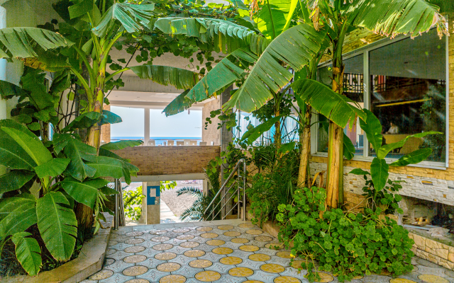 Mini hotel Luchezarny